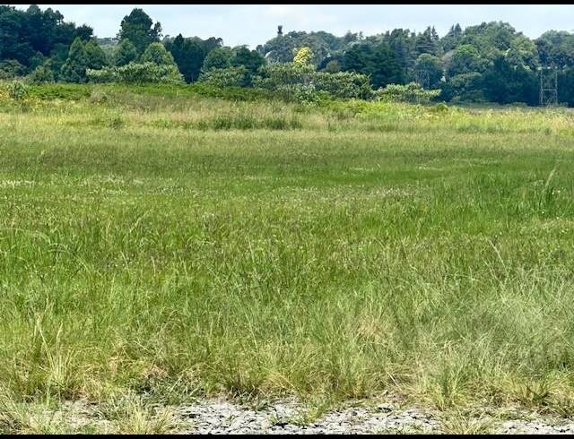 LAND FOR SALE IN GREENDALE